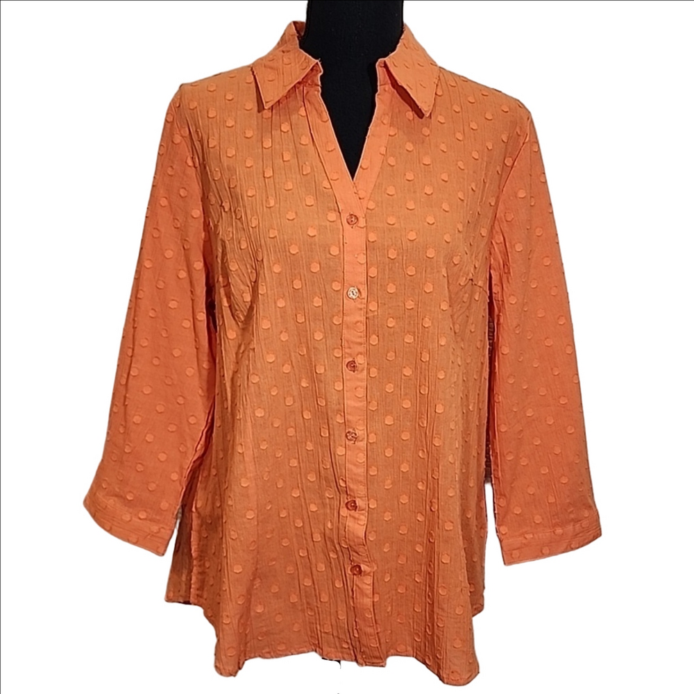 D&CO V-NECK BUTTON-DOWN TOP